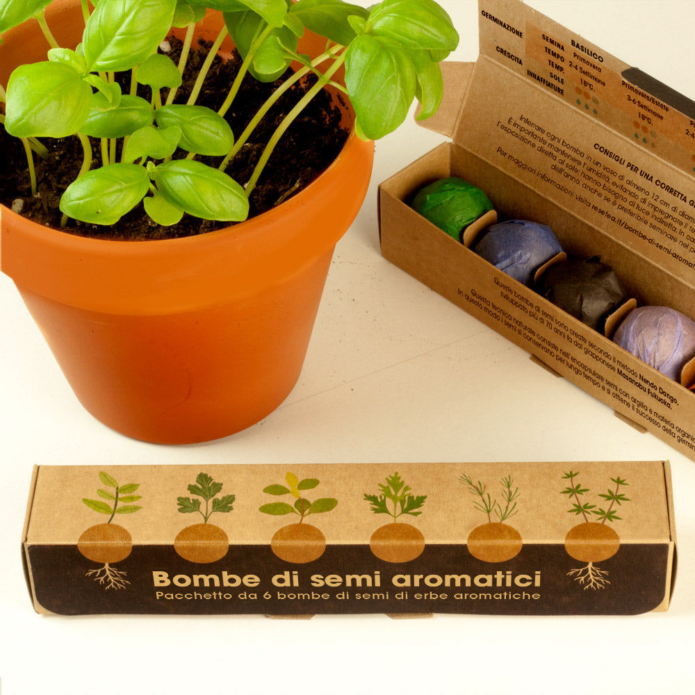Bombe di Erbe Aromatiche