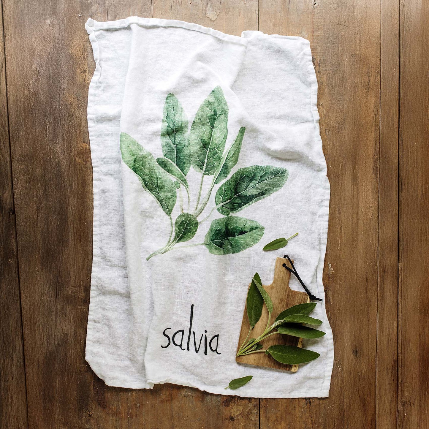 Canovaccio Salvia 2