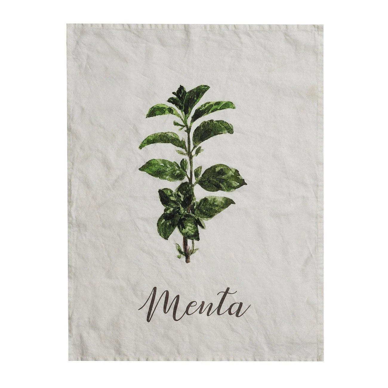 Canovaccio Menta