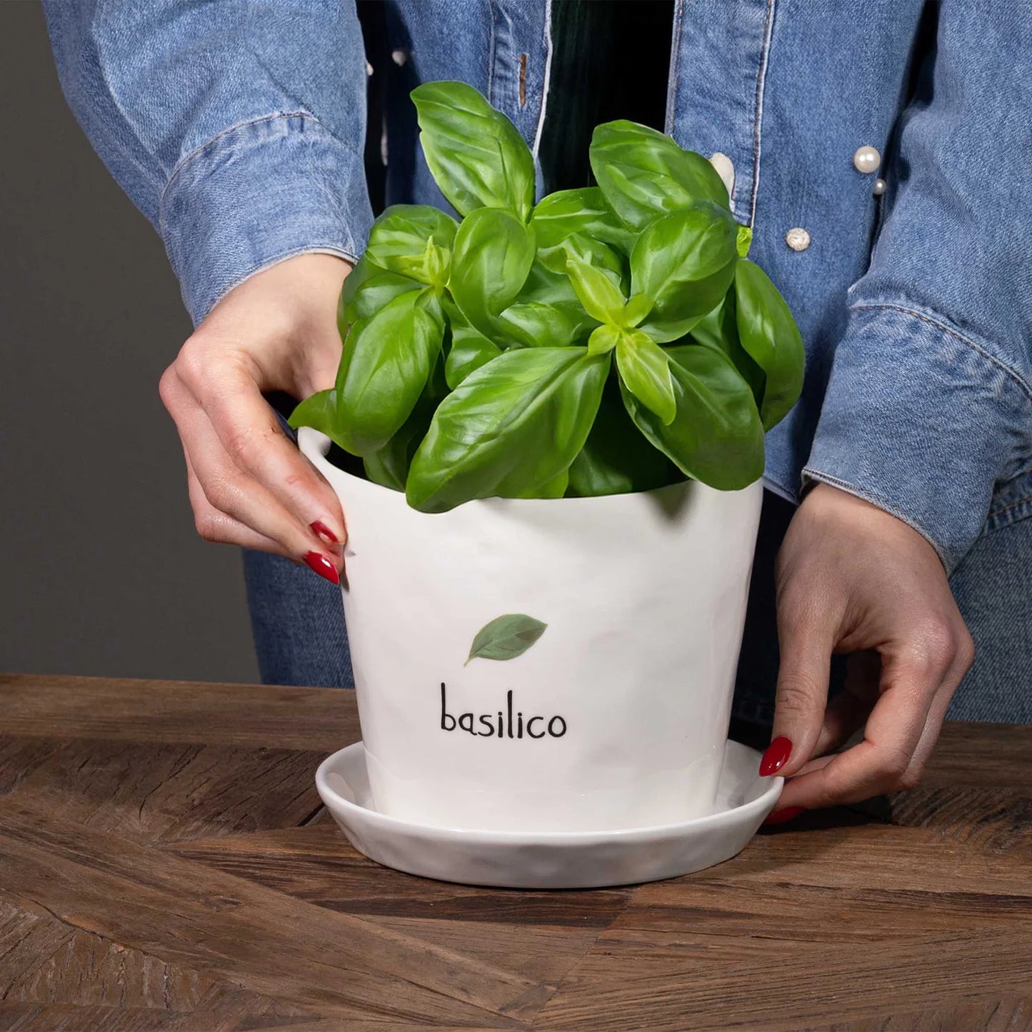 Basilico