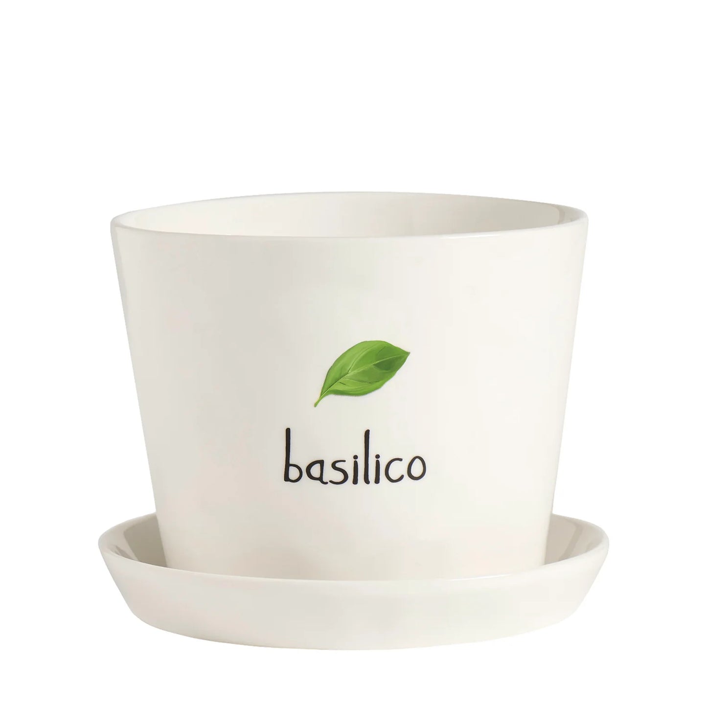Basilico