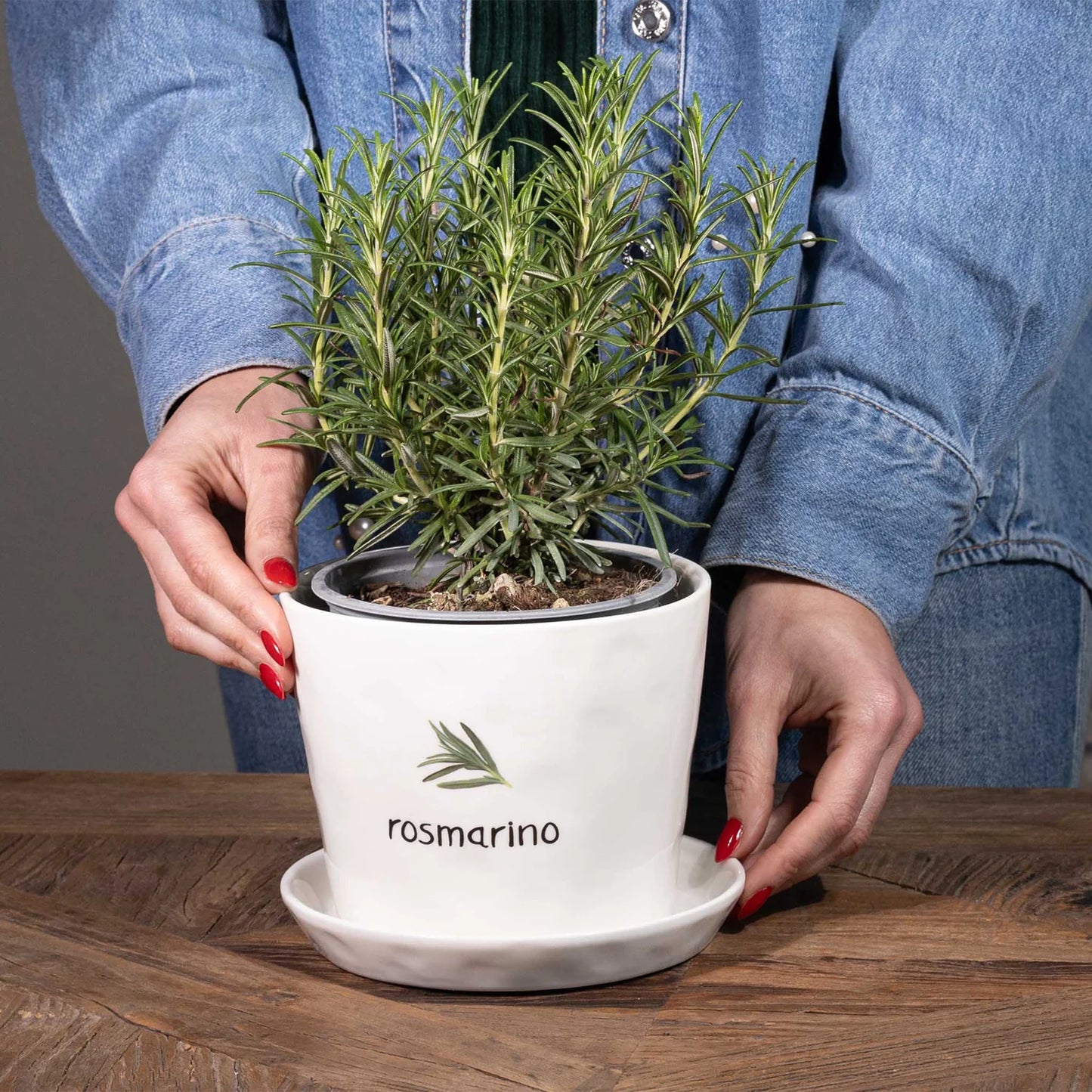 Rosmarino