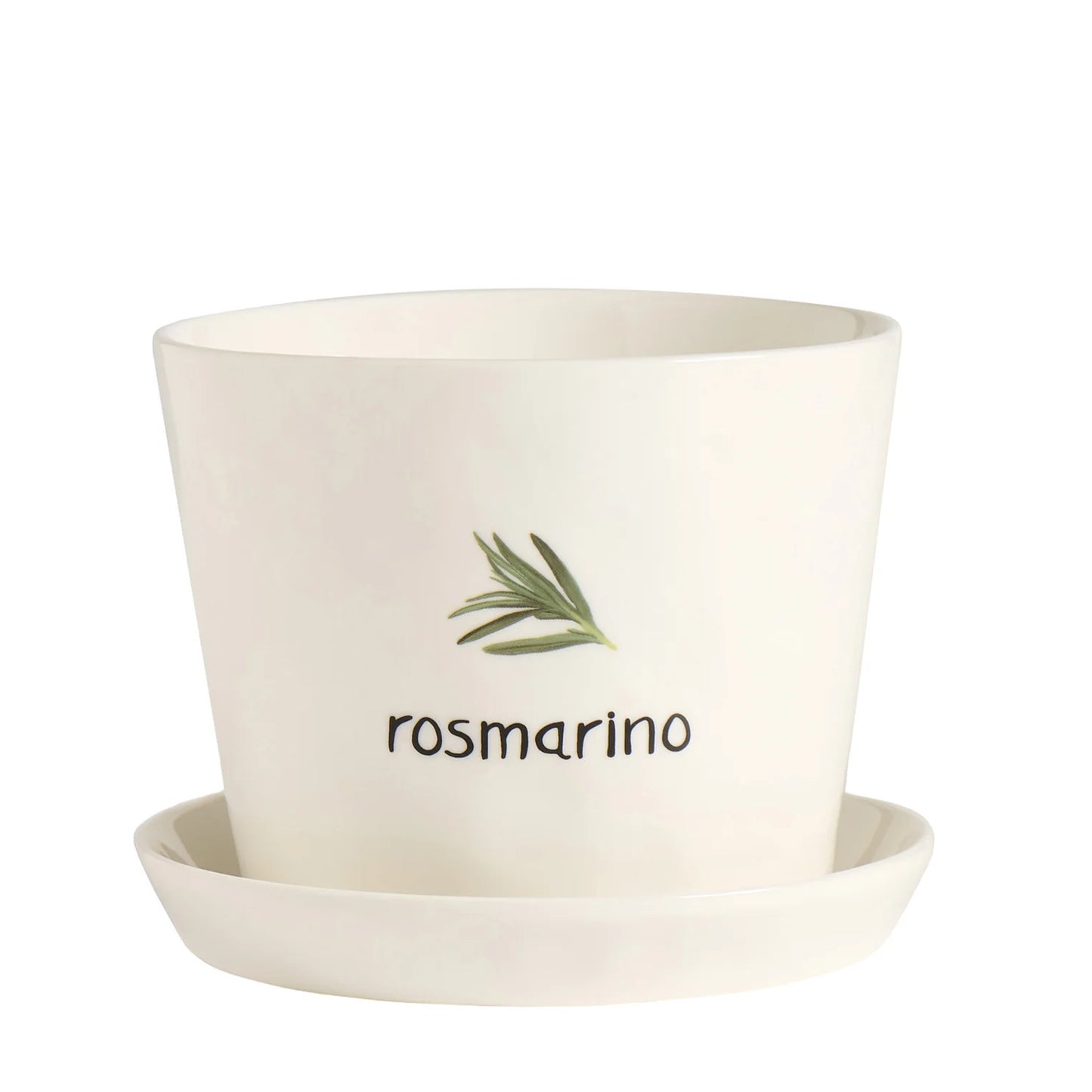 Rosmarino