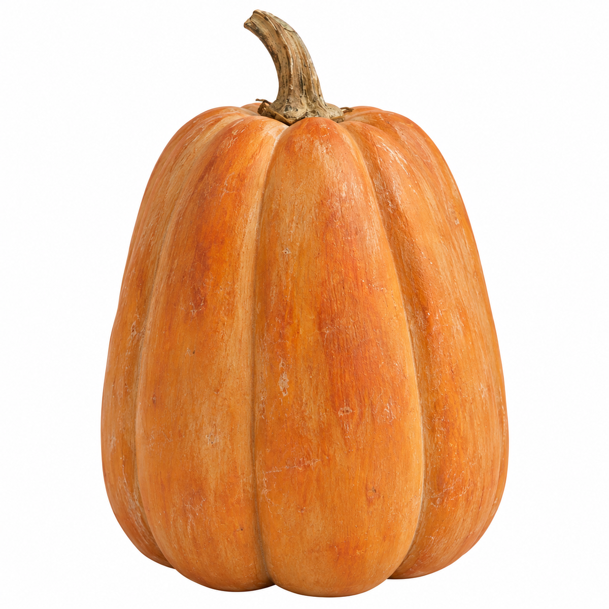Zucca Realistica