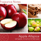 Apple Allspice