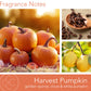 Harvest Pumpkin